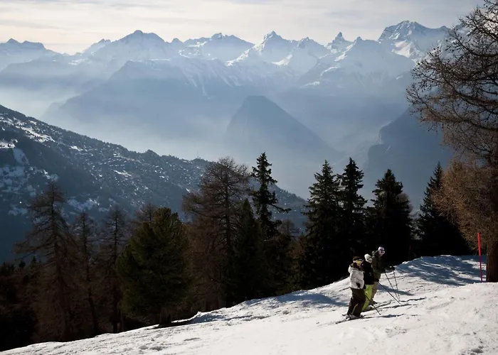 Iris I 023 - Confortable 8 Pers *